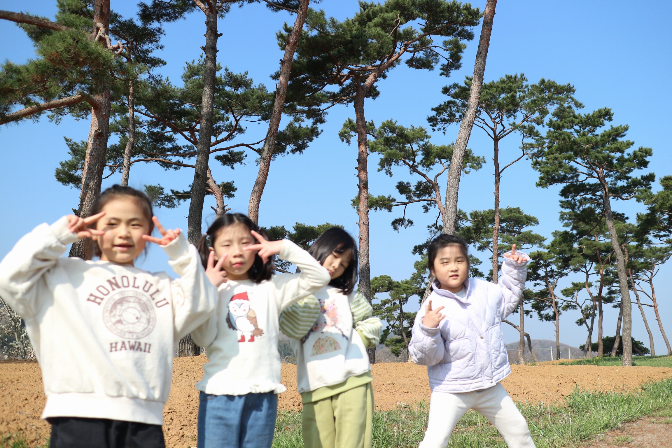 우리 동네 한 바퀴 체험학습